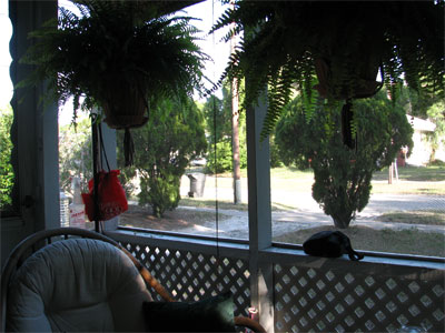 Click here to download a 2592 x 1944 JPG image showing the inside of the front porch, taking on the look of a small Tiki Hut.