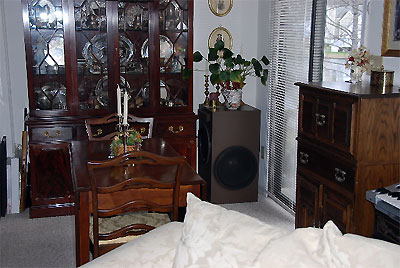 Click here to download a 640 x 429 JPG image showing the subwoofer near the patio door leading out of the great room.