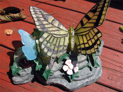 Click here to download a 2592 x 1944 JPG image showing ornamental butterflies basking in the sun.