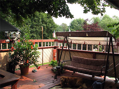 Click here to download a 2592 x 1944 JPG image showing the elevated deck with Brandy, a happy dog.