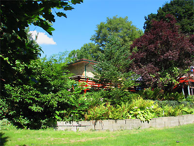 Click here to download a 2592 x 1944 JPG image showing the sun drenched lawn along the back side of the Rowland Residence.