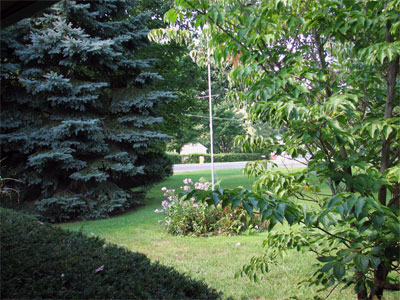 Click here to download a 2592 x 1944 JPG image showing the front lawn between homes in the Rowland neighborhood.