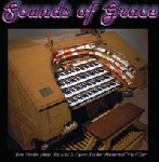 Click here to learn about and purchase the Sounds of Grace CD by Tom Hoehn from Laughing Eyes Music.