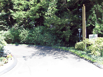 Click here to download a 2592 x 1944 JPG image showing the driveway leading into the property.