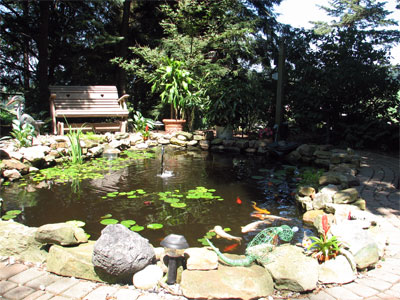 Click here to download a 2592 x 1944 JPG image showing the fish pond and gardens.