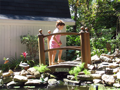 Click here to download a 2592 x 1944 JPG image showing the bridge across one end of the fish pond bearing a sign that warns of attack goldfish.